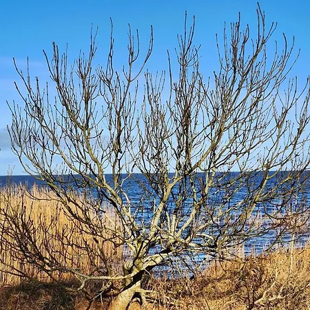 6 Person In بيت للعطل Tarm